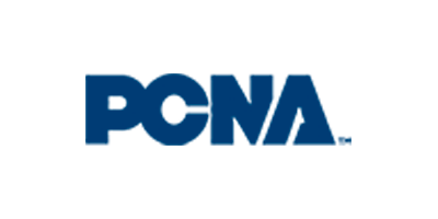 PCNA